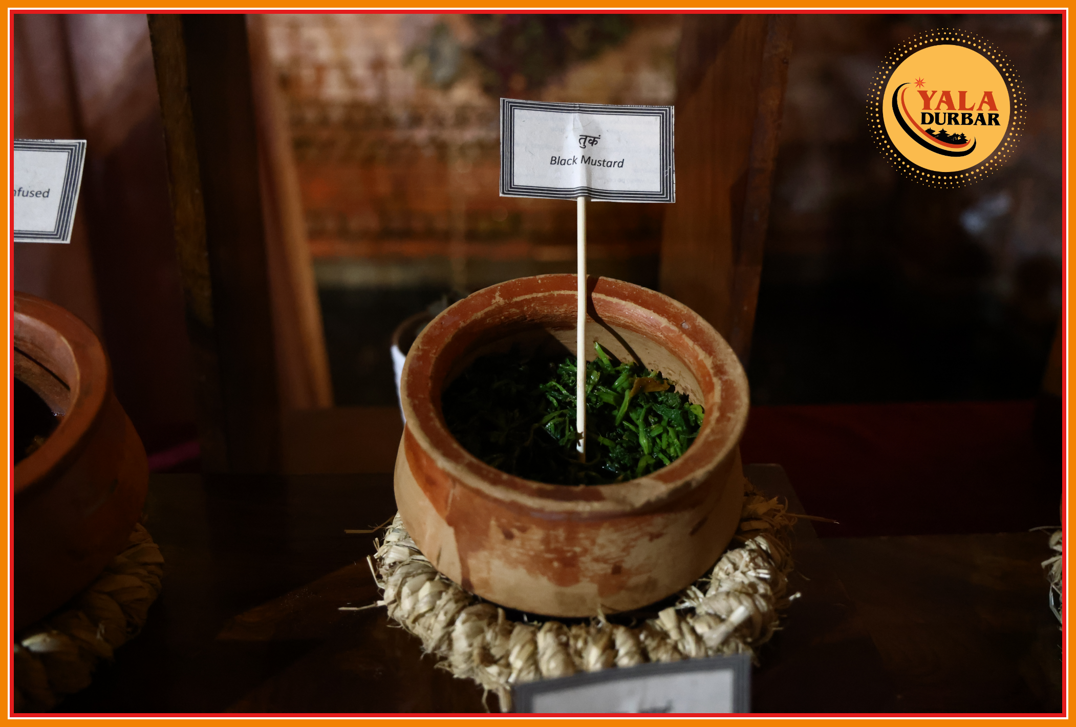 वाउँचा (तुकं/पाछै) - Green Spinach (Black Mustard/ Broad Mustard)