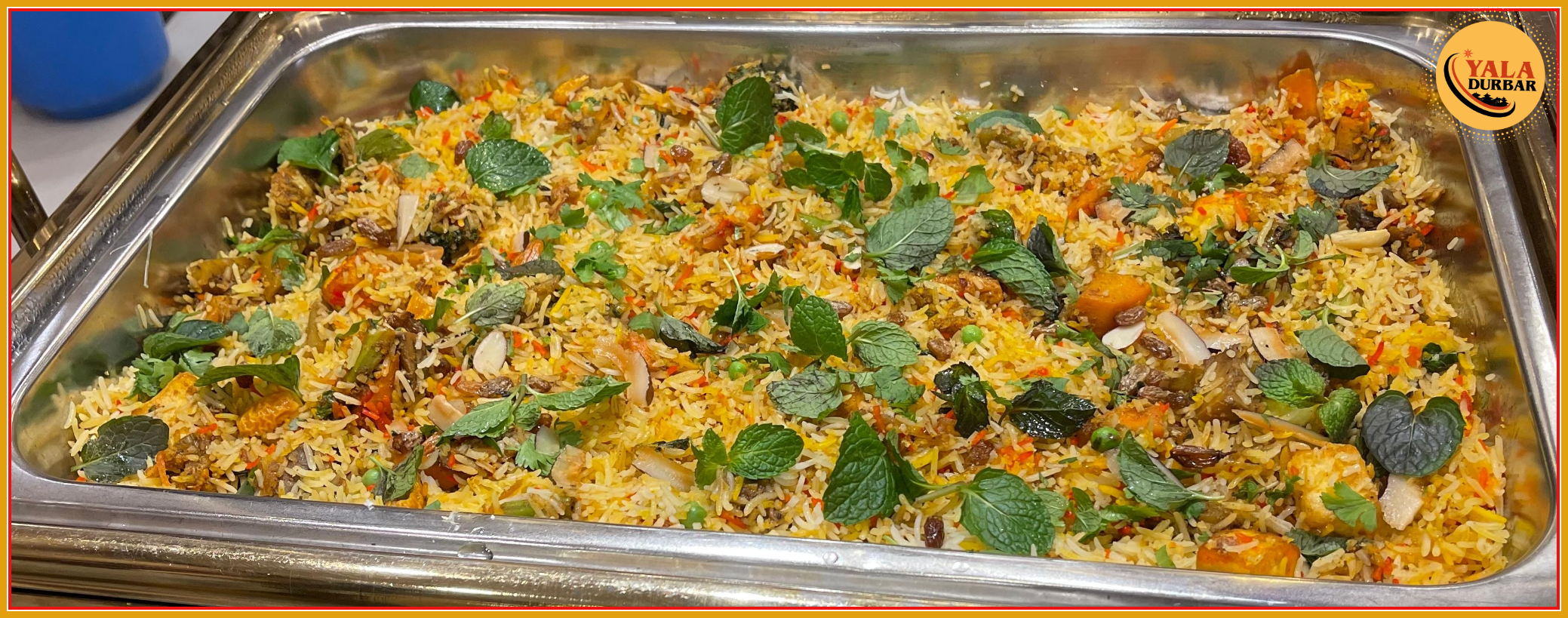 Veg Biryani