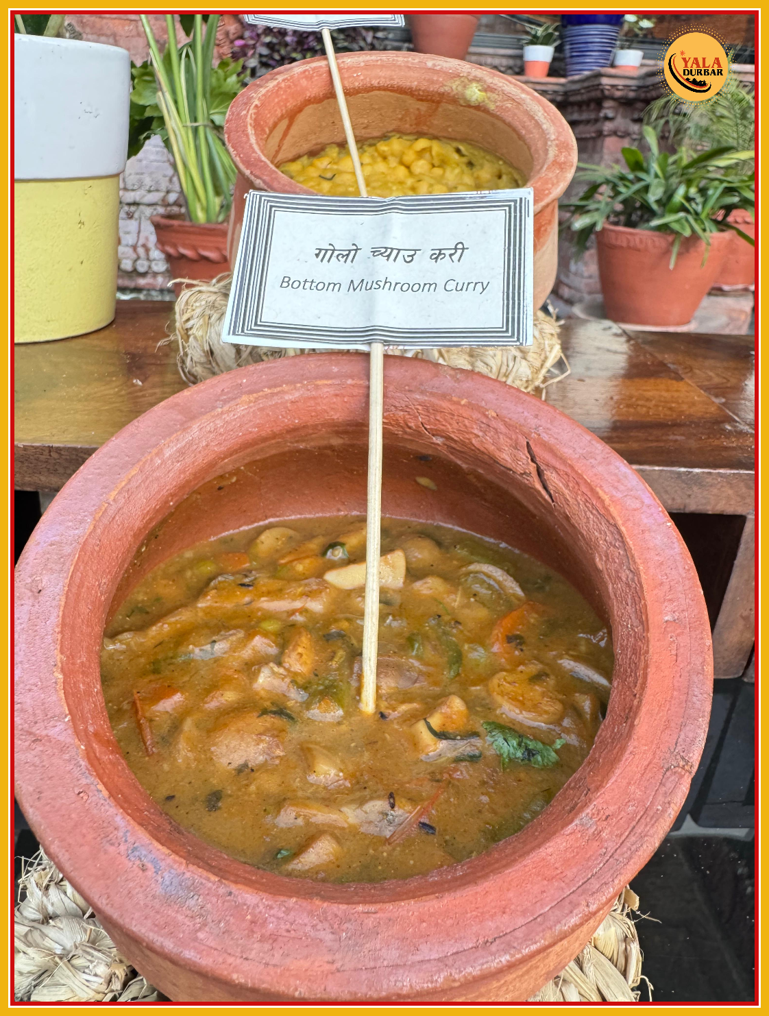 गोलो च्याउ करी - Bottom Mushroom Curry